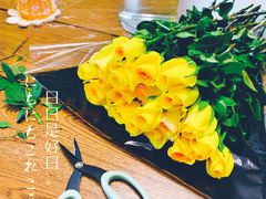 -秦美花卉(天朗·莱茵小城2期店)