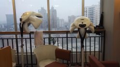 -佛伦斯私人定制烫染国际连锁