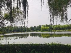 -北坞公园