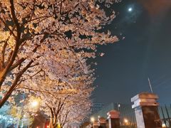-永乐路-路侧停车场