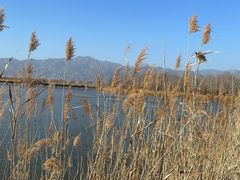 -野鸭湖国家湿地公园