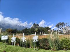 -云禾壹海景庄园餐厅