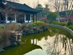 -红梅公园