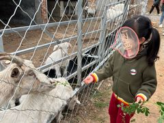 -大连北马山庄