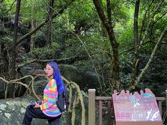 -七仙岭温泉国家森林公园