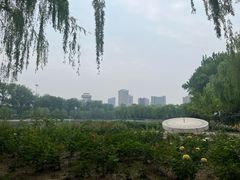 -中国农业博物馆