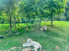 -北京野生动物园