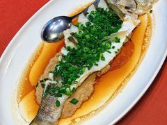 -船歌·鱼水饺青岛菜(珠江路店)