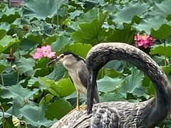 -苏州河梦清园环保主题公园