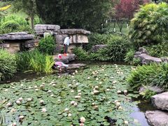 -龙头寺公园