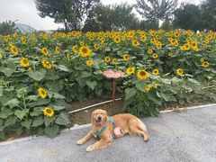 -My Way Town买味堂·东南亚餐厅(亦庄店)