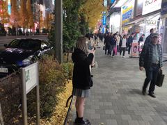 -秋叶原电器街
