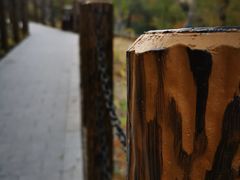 -白水寺森林公园