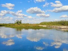 -宁波杭州湾国家湿地公园