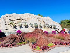 -北京西山国家森林公园