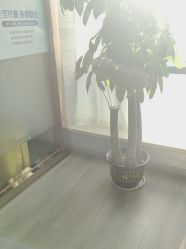-武汉五洲整形外科医院