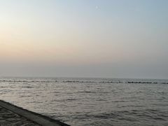 -南汇嘴观海公园