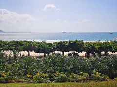 -三亚亚龙湾天域度假酒店