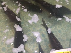 -宁记柴火灶台鱼·全鱼宴(龙源小区店)