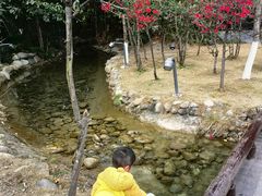 -成飞公园