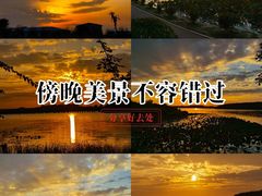-丁香湖公园