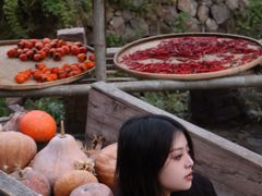 -林坑古村落