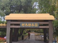 -黑龙江省森林植物园