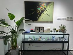 -酷嗒动物文化乐园(cutezoo西溪乐天城店)