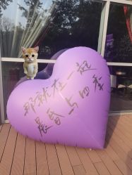 -南京银城皇冠假日酒店·宴会厅