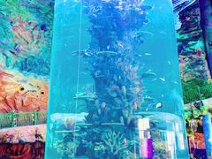 -青岛嘉年华主题乐园