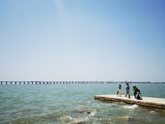 -宝安西湾红树林湿地公园