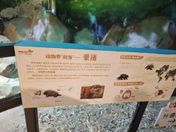 -酷嗒动物文化乐园(cutezoo西溪乐天城店)