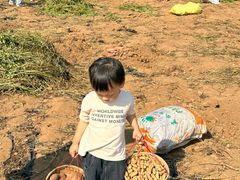 -大连北马山庄