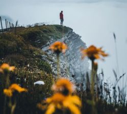 -WAVE SODA摄影工作室