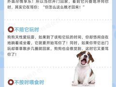 -爱侣宠医·鹦鹉专科·小型哺乳类·异宠专科(灵石路店)