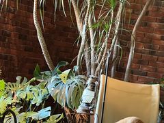 -J Create城市露营咖啡·简餐·宠物(上海动物园店)