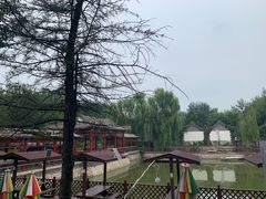 -尚庄度假村·庭台树下·户外烧烤·团建CS·轰趴营地(上庄水库店)