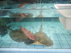 -荣小馆(杭州大厦店)