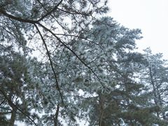 -大别山南武当滑雪场