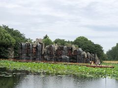 -微山湖红荷湿地景区