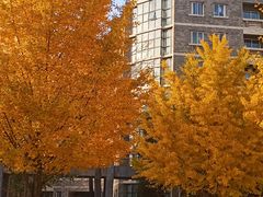 -辽宁大学(崇山校区)