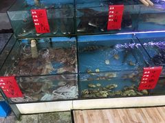 -阳光海鲜大排档