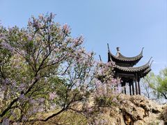 -北京世界公园