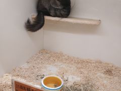 -龙猫仔乐园(惠福东路店)