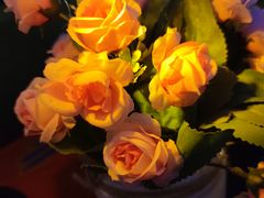 -天台月光帐篷火锅(合能锦城店)