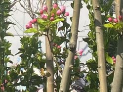 -宝馨月月子中心(友谊医院店)
