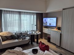 -新加坡乌节希尔顿酒店 (SG Clean)