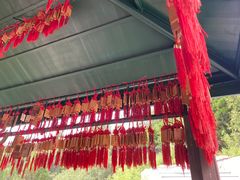 -磬锤峰森林公园