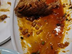 -新侨小馆(东直门北小街店)
