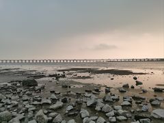 -宝安西湾红树林湿地公园